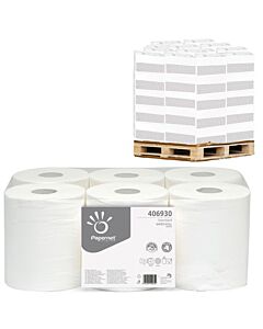 Papernet Standard Centerfeed, 1-lagig, 290 m Länge, Handtuchpapier - Palette
