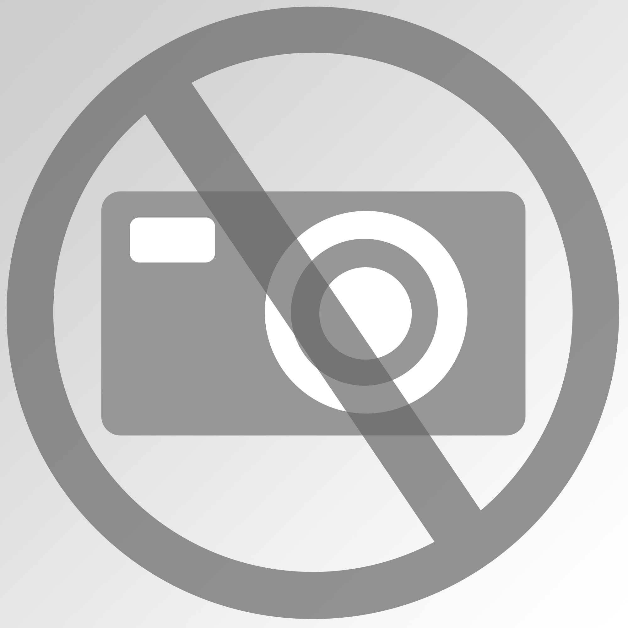 Öl- & Chemikalienbindemittel OEL-KLEEN Kerasorb Super Plus Typ R, 10 kg