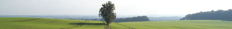 Natur